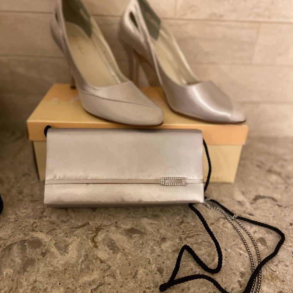 Michelangelo size 9, style Molly shoes in titanium with matching bag.